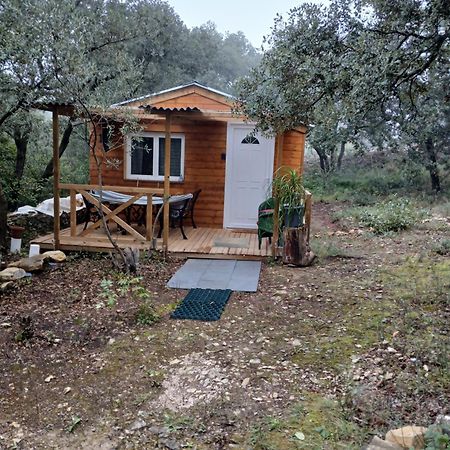 Chez Eve 2 Lägenhet Nîmes Exteriör bild